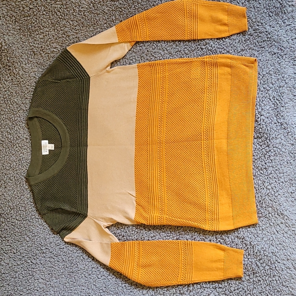 Market & Spruce Olive, Beige, and Mustard Sweater